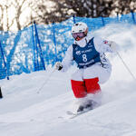 Carroll schrammt in der Buckepiste knapp am Podest vorbei