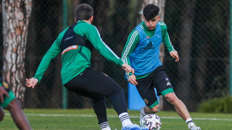 Fix: <a href='/de/daten/news/fussball/sv-horn/' class='tag'>SV Horn</a> bedient sich erneut bei Rapid