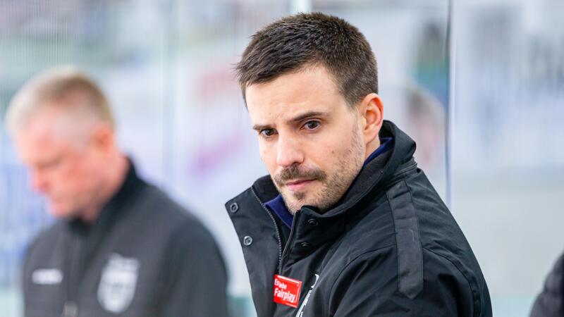 "Aus heiterem Himmel": Fehervar stellt neuen Head Coach vor