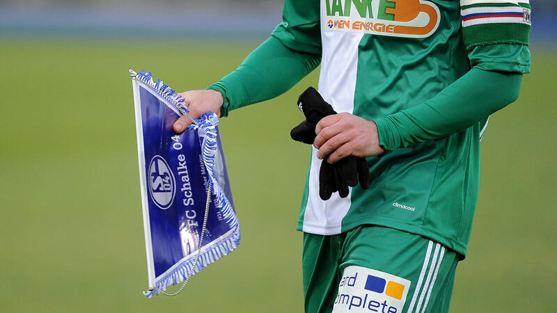 SK Rapid testet gegen Schalke 04