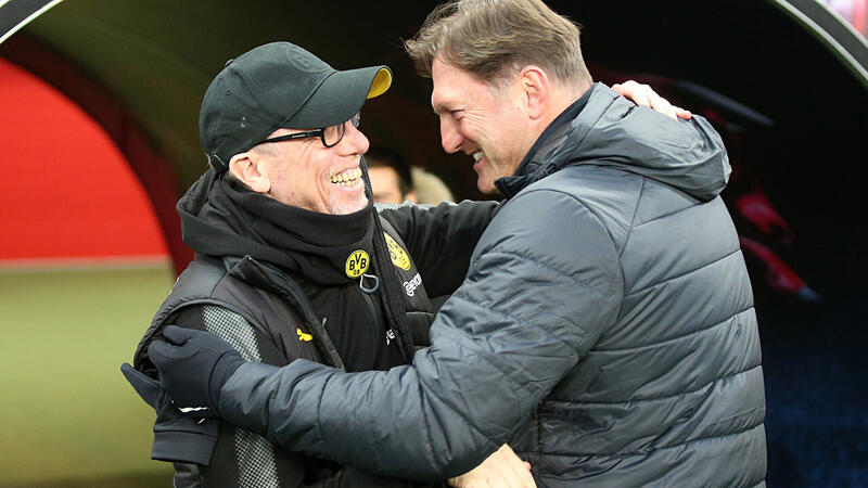 Diesen ÖFB-Teamchef wählten die LAOLA1-User