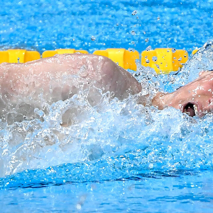 Auböck holt Kurzbahn-WM-Gold über 400 m Kraul