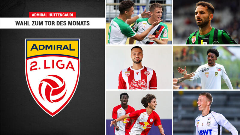 ADMIRAL <a href='/de/daten/news/fussball/2--liga/' class='tag'>2. Liga</a>: Wahl zum <a href='/de/daten/news/tor-des-monats/' class='tag'>Tor des Monats</a> August