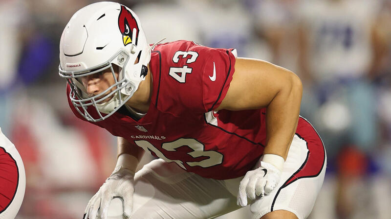 Kein Platz für Seikovits im Cardinals-Kader