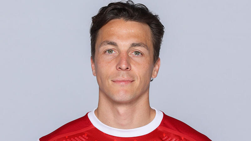 #14 <a href='/de/daten/news/julian-baumgartlinger/' class='tag'>JULIAN BAUMGARTLINGER</a>