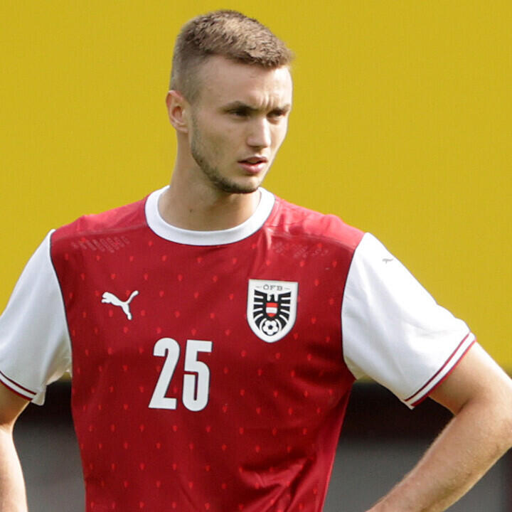 Die genutzte Chance des Sasa Kalajdzic