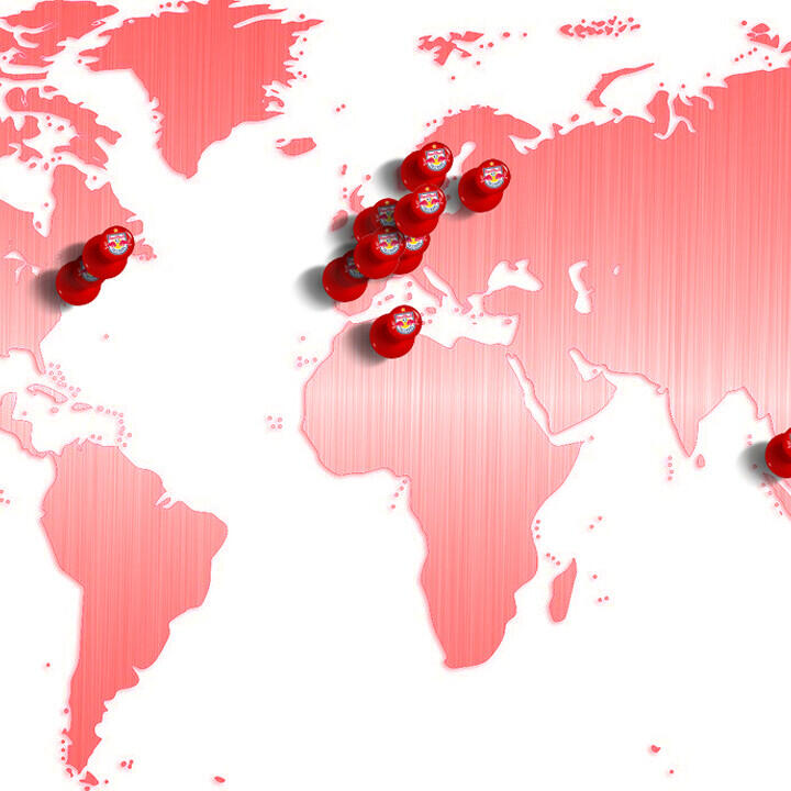 Die Trainerschmiede von Red Bull