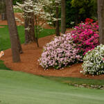 US Masters 2026: Fakten und Zahlen zum Golf-Major