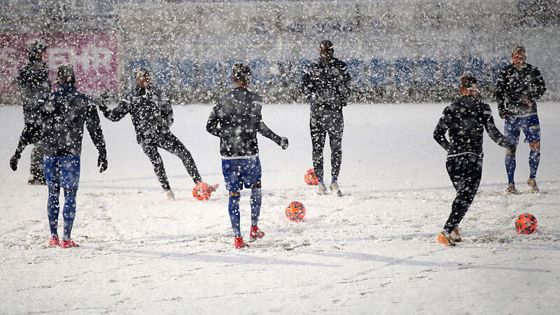 Nachtragstermin für Horn-Violets steht fest