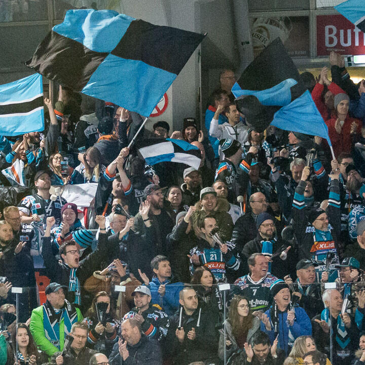 Linzer Fanklubs: EHV in die ICE aufnehmen!