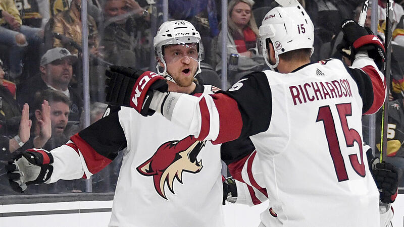 Neuer General Manager für Grabner-Klub Arizona