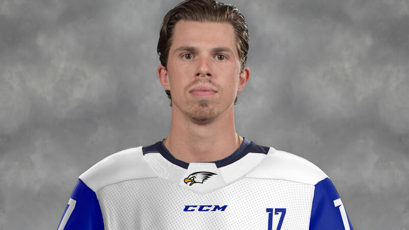 <a href='/de/daten/news/eishockey/vsv/' class='tag'>VSV</a> angelt sich Stürmer mit <a href='/de/daten/news/eishockey/nhl/' class='tag'>NHL</a>-Erfahrung