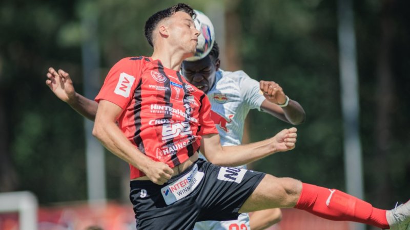 SKU Amstetten angelt sich nächsten Spieler von RLO-Absteiger