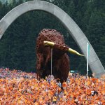 Formel 1 in Spielberg: Die wichtigsten Anreise-Infos