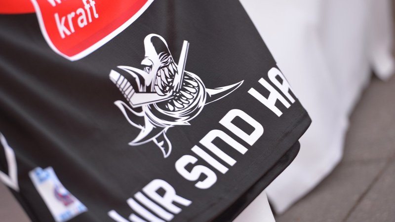 HC Innsbruck komplettiert Verteidigung mit DEL-Crack