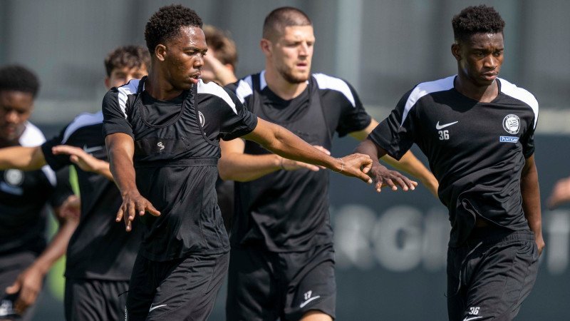 Sturm Graz: Veränderungen auf Funktionsebene