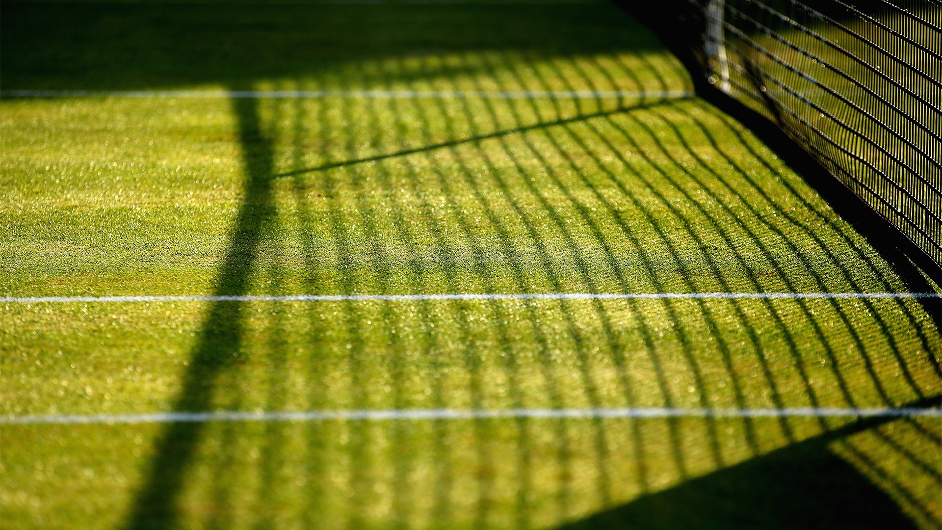 Nur für Kühe oder hat das Rasen-<a href='/de/daten/news/tennis/tennis/' class='tag'>Tennis</a> noch eine Zukunft?