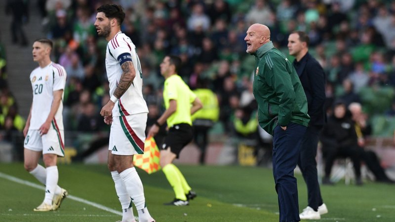 Die Nationaltrainer bei der EURO 2024