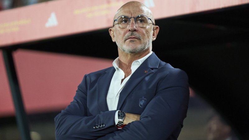 Die Nationaltrainer bei der EURO 2024