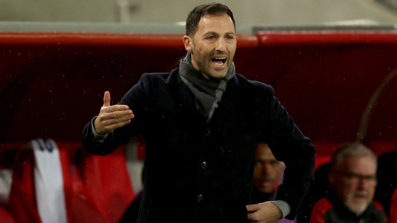 Die Nationaltrainer bei der EURO 2024