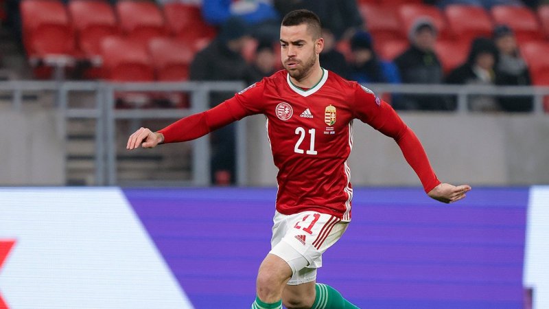 Dieser Kader soll Ungarn zu einer EM-Sensation führen