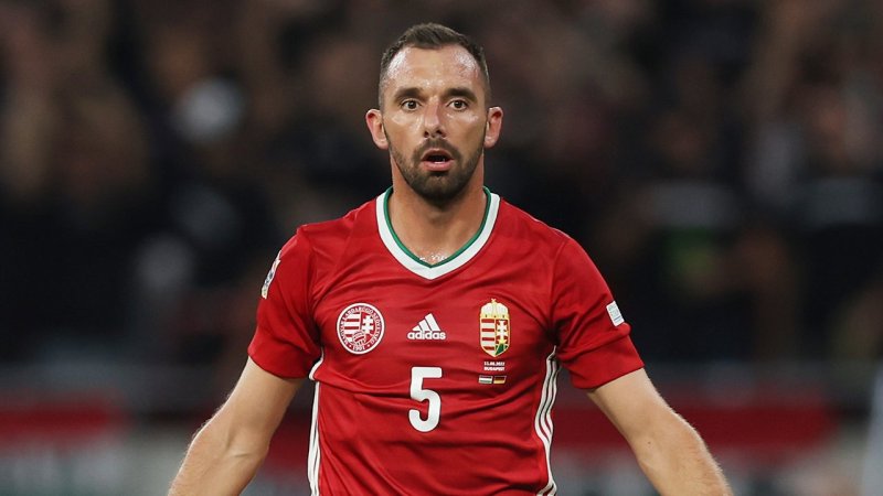 Dieser Kader soll Ungarn zu einer EM-Sensation führen