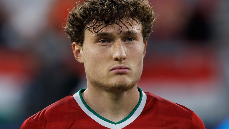 Dieser Kader soll Ungarn zu einer EM-Sensation führen