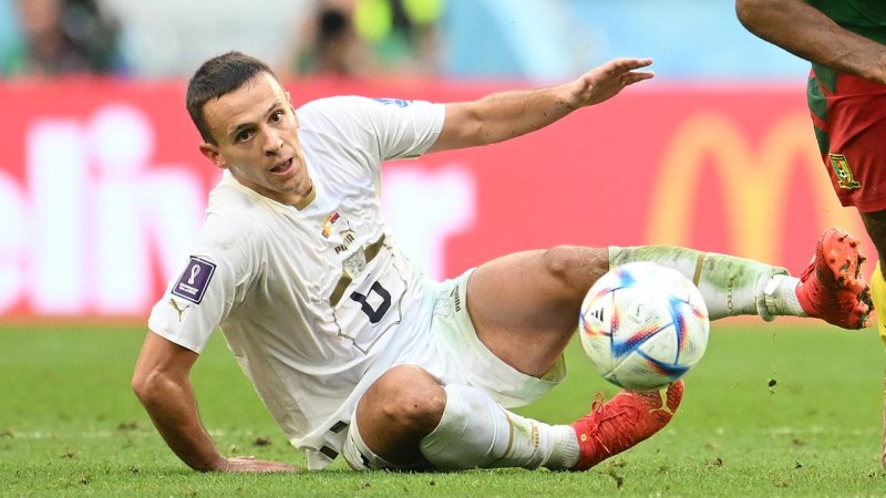 Mit diesem Kader will Serbien bei der EM für Furore sorgen