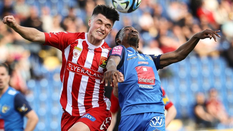 Das Team der Saison der 2. Liga 2023/24