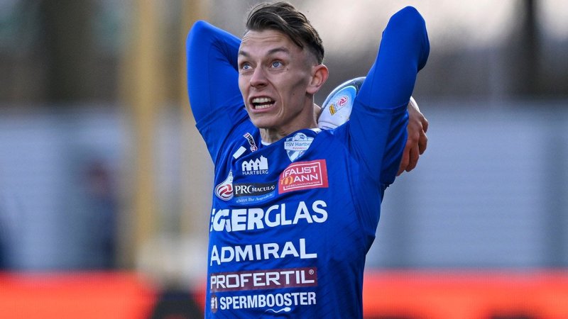 Das ist das Bundesliga-Team der Saison 2023/24