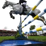 Tragischer Sturz: Vielseitigkeitsreiterin verstorben