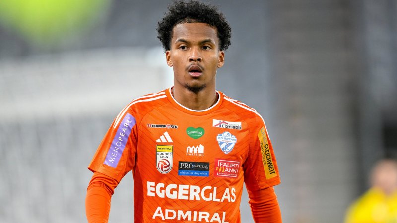 Die Rekord-Zugänge der 12 Bundesliga-Klubs