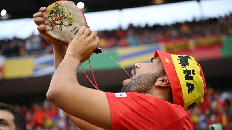 Die genialsten Fan-Bilder der EURO 2024