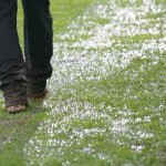 Wegen Flut: Brasilianischer Verband stoppt Spielbetrieb