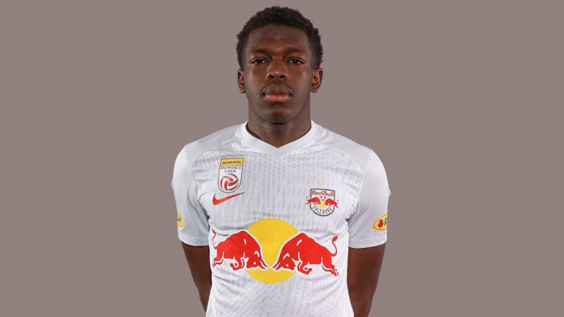 Die Verlierer der Bundesliga-Saison 2023/24