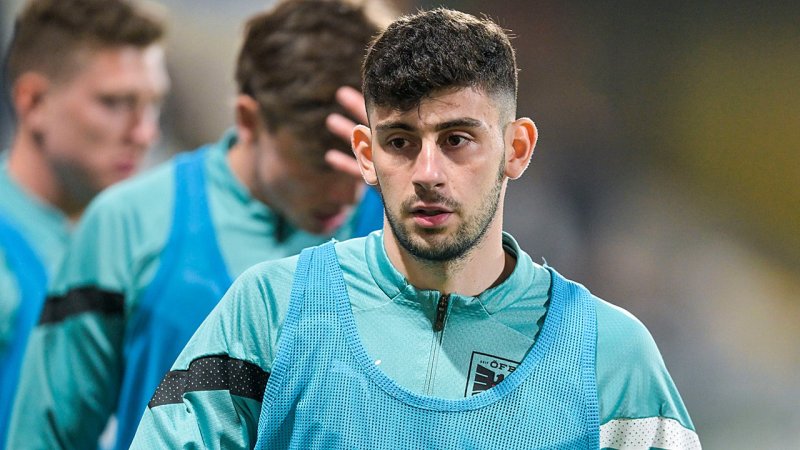 Demir vor Basel-Aus: "Nicht immer professionell verhalten"