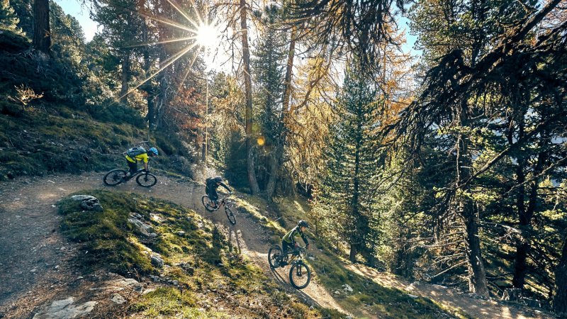 In die Pedale, fertig, los: Rad-Routen für die ganze Familie