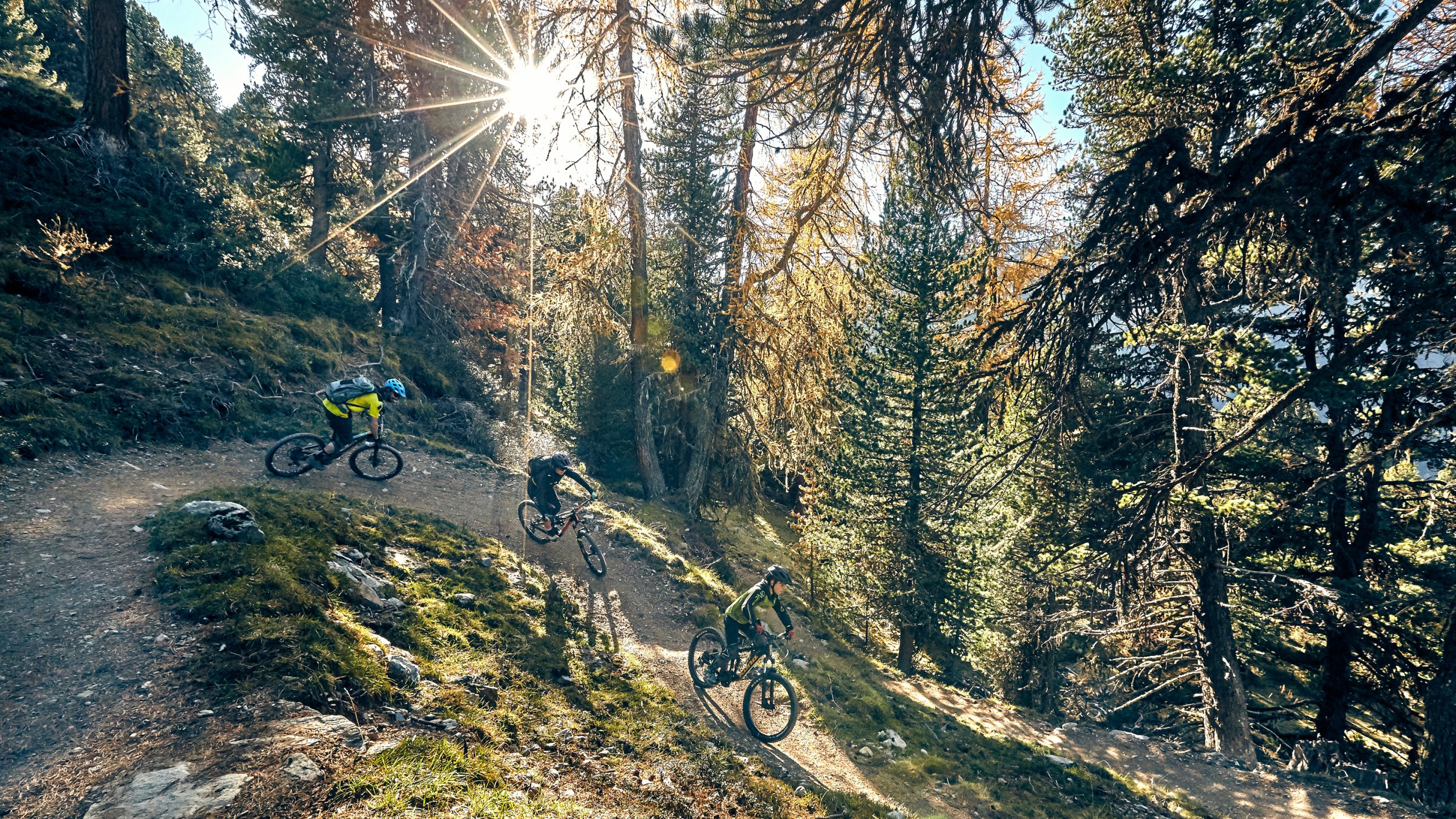 In die Pedale, fertig, los: Rad-Routen für die ganze Familie