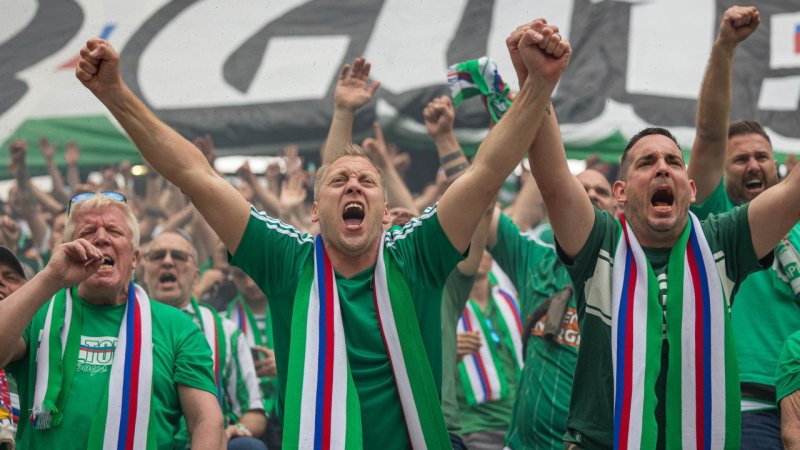 ÖFB-Cup-Finale: Die besten Fan-Bilder