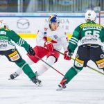 AHL im nächsten Jahr mit 14 Teams aus vier Nationen