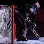 Coyotes: Die Tage in Arizona sind gezählt