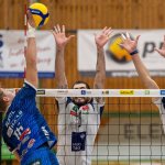 AVL-Finale als Duell Titelverteidiger gegen Neuling