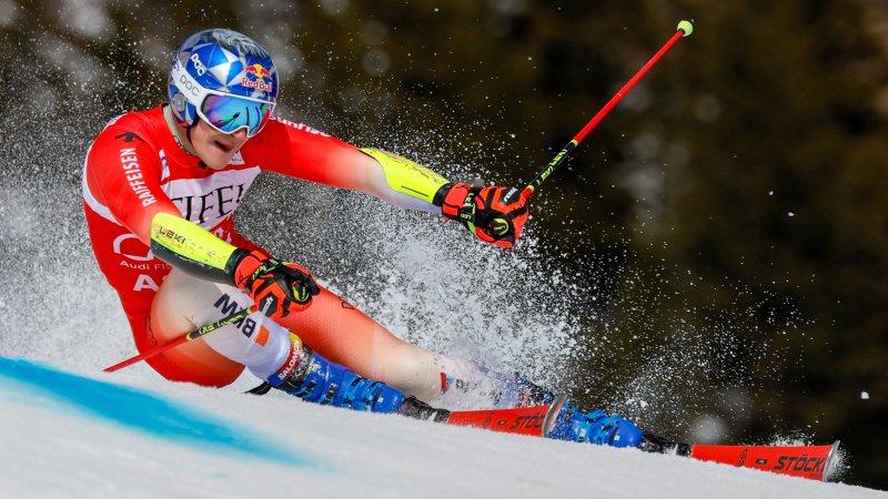 Die erfolgreichsten Ski-Marken der Weltcup-Saison 2023/24