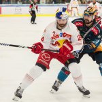 Salzburg legt im Viertelfinale gegen die Black Wings vor