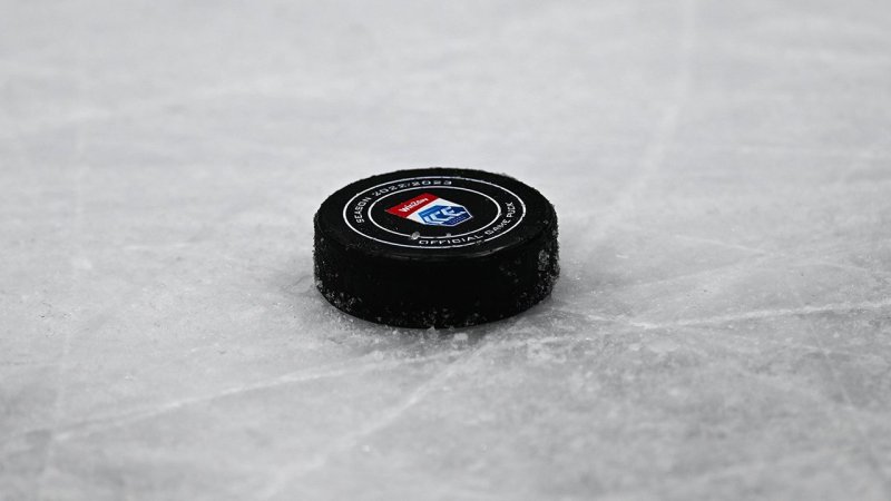 Eisige Transfer-Entscheidungen: So ticken die ICE-Spieler