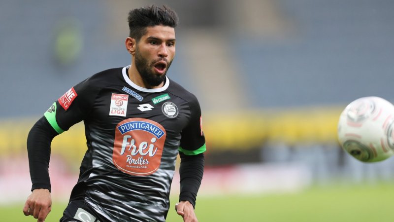 Diese Ex-Stars tummeln sich derzeit in Österreichs Unterhaus