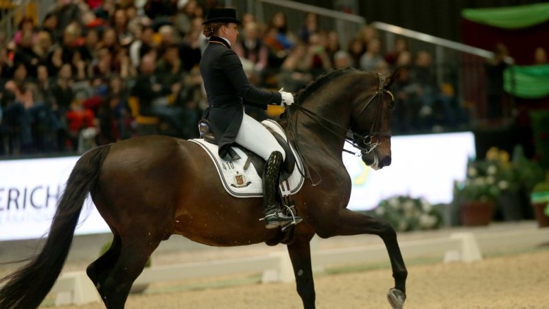 #11 - Reitsport - 3 Medaillen