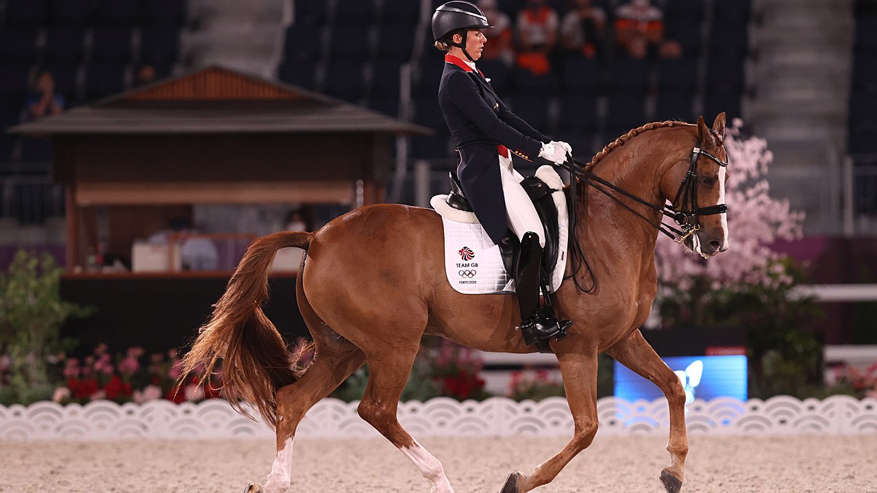 Fehlverhalten im Training! Reitstar sagt Olympia ab
