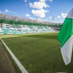 Umfrage zeigt: Rapid hat den besten Rasen der Liga