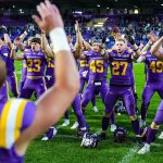 Vienna Vikings: Perfektion ist nicht alles
